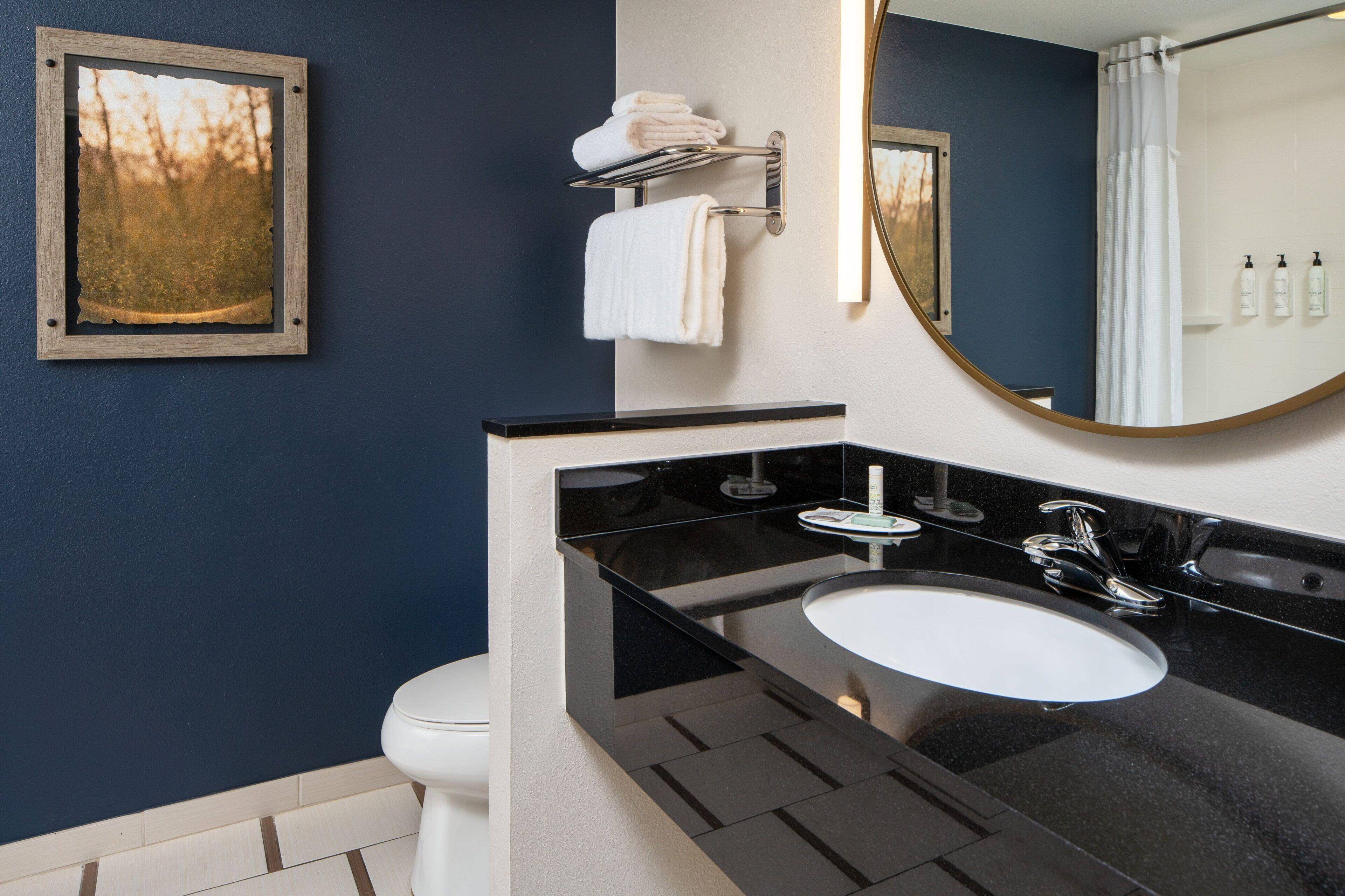 One-Bedroom King Suite with Sofa Bed